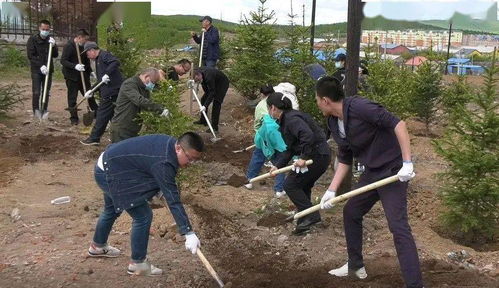 學黨史 踐初心 植樹添綠美家園