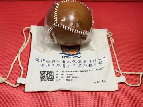 “一諾威杯”學黨史云健步百日行 創新參與模式，深化紅色教育